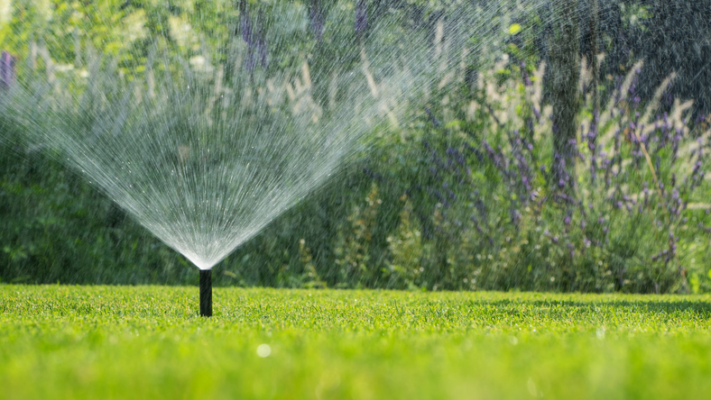 A garden sprinkler is in action, spraying fine droplets of water across a vibrant green lawn. The lush greenery in the background adds to the refreshing scene, capturing the essence of a well-maintained garden on a warm day.